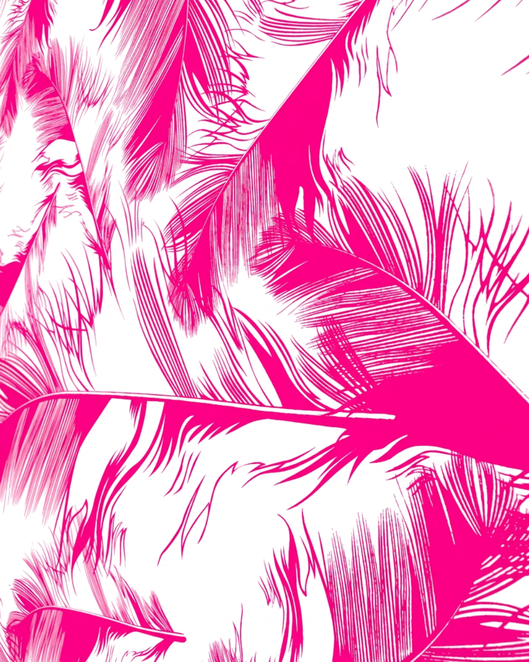Featherlight Wallpaper